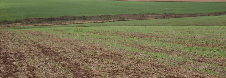 CNA analisa parcerias com Embrapa Agrobiologia