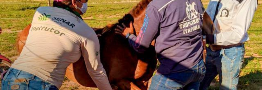 Curso do Senar atrai jovens interessados em trabalhar com Equídeos