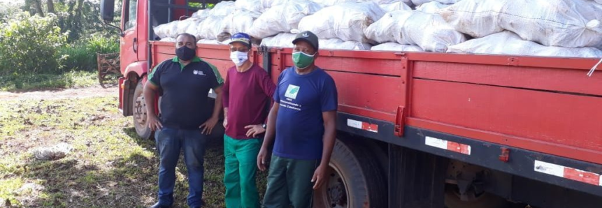 Produtores Rurais do Estado recebem quase 2 milhões e meio de sementes híbridas de cacau