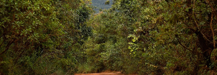 CNA participa de audiência na Câmara para debater infraestrutura e mobilidade rural