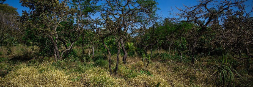 Senar mostra ações do projeto FIP Paisagens Rurais no Maranhão