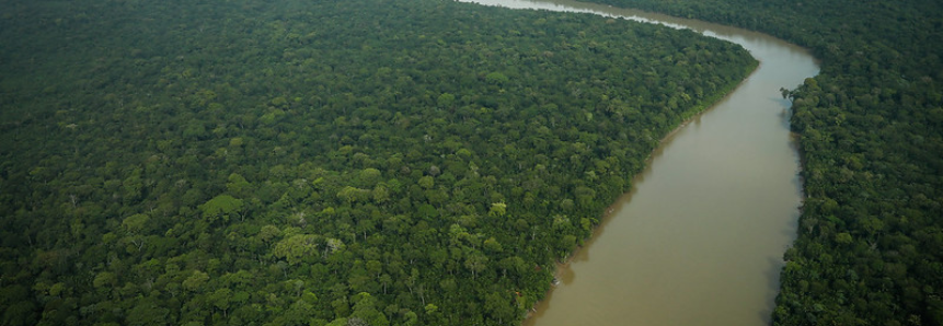 CNA diz que produção de fibras naturais é alternativa para desenvolvimento da Amazônia