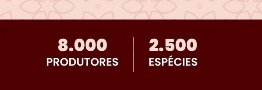 Você sabia que o Brasil cultiva mais de 2,5 mil espécies de flores e plantas?