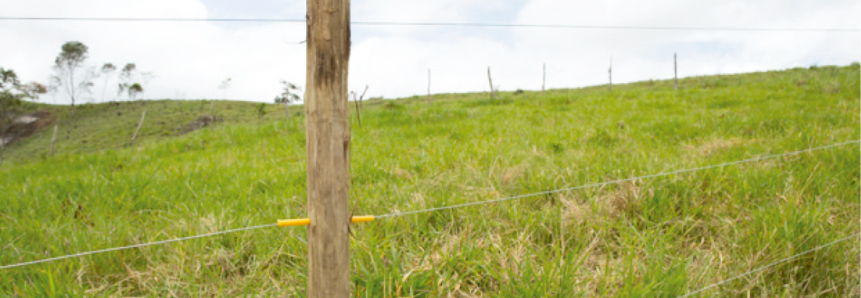 Inscrições abertas para o curso de cerca elétrica: instalação e funcionamento