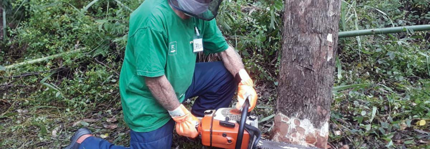 Capacitação constante: aos 77 anos, produtor conclui curso do SENAR-PR