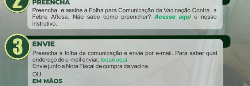 Campanha de vacinação contra a febre aftosa começa dia 1º de maio