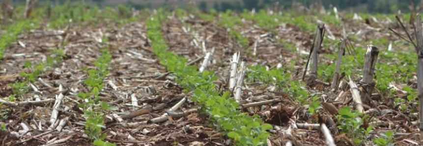 ‘Revolução verde’ na agricultura é tema de capacitação gratuita do Senar/MS