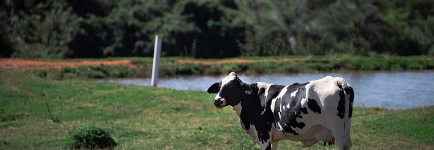 Projeto FIP Paisagens Rurais promove capacitação com técnicos e supervisores que atuam em Minas Gerais