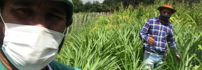 Ovinocaprinocultura de Cedro, no Ceará, obtém bons resultados da Assistência Técnica do Senar no AgroNordeste