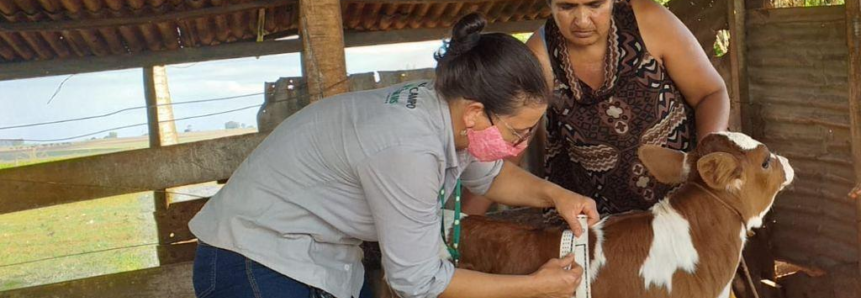 Equipes técnicas somam esforços no Programa de ATeG em Bovinocultura de Leite do Senar/MS