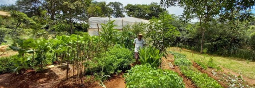 Produtores de Brumadinho aumentam a produção e comercialização de alimentos