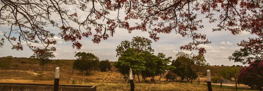 Senar mostra ações de campo do projeto Paisagens Rurais na Bahia