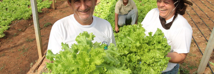 CNA discute implantação do Cadastro Nacional da Agricultura Familiar