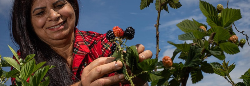 Sistema CNA/Senar incentiva representatividade feminina no agro