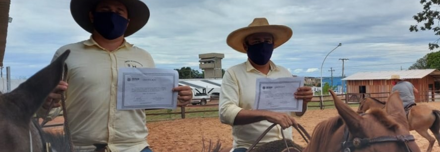 Reeducandos aprendem a domar cavalos para serem instrutores de equoterapia