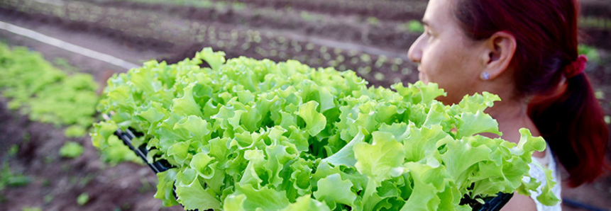 Em dez anos, presença feminina no mercado agropecuário de MS cresceu 29,3%