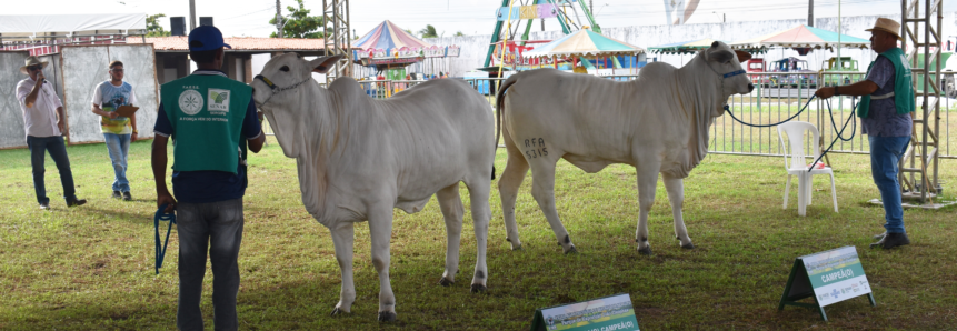 Feira Agropecuária é adiada para o segundo semestre