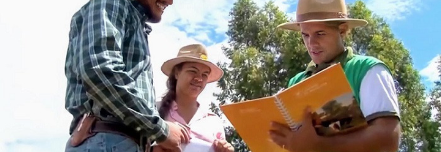 Pecuaristas mineiros ampliam em seis vezes produção leiteira