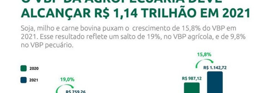 CNA prevê recorde no Valor Bruto da Produção agropecuária em 2021