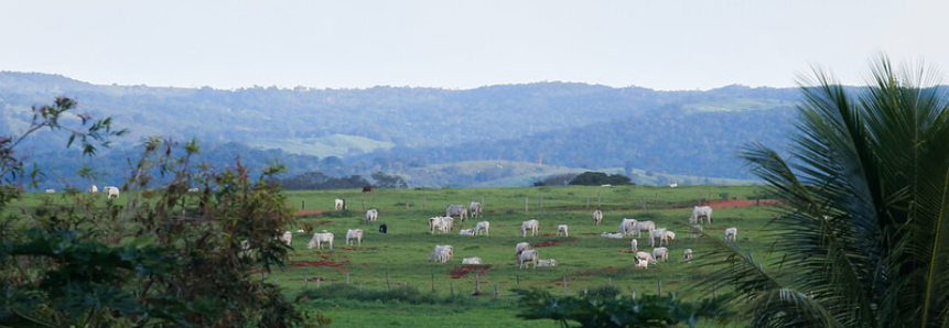 Senar destaca ações do projeto Paisagens Rurais em oficina no MT