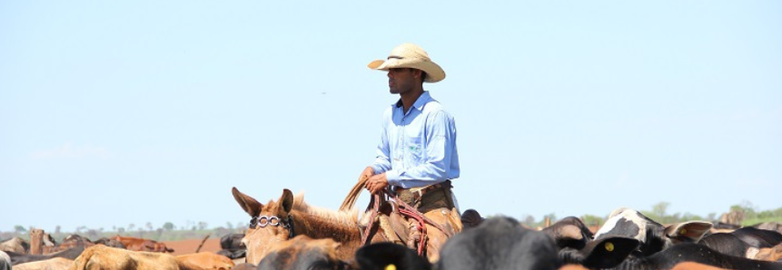 Em 2021, Senar/MS vai reformular Assistência Técnica e Gerencial para produtores do Pantanal