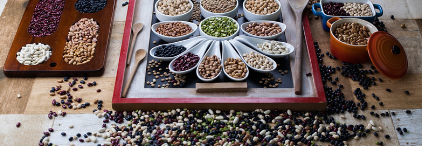 CNA promove seminário em comemoração ao Dia Mundial dos Pulses