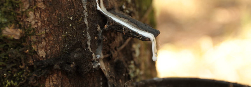 Preço da borracha natural importada tem alta de 3,37% em janeiro