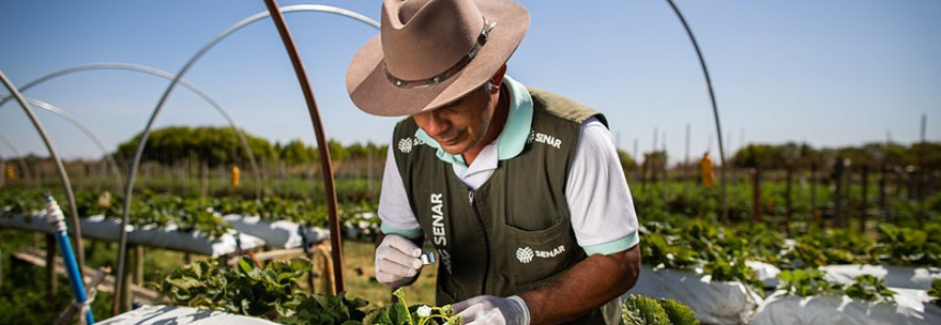 Últimos dias de inscrição para cursos técnicos em agronegócio e fruticultura do Senar