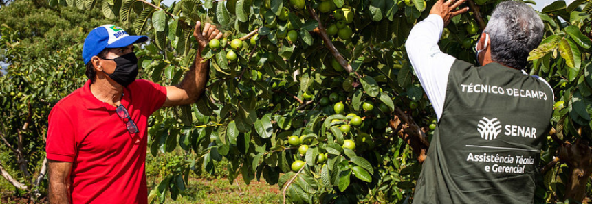 Mais de 12 mil produtores rurais serão atendidos pelo Senar-ES em 2021