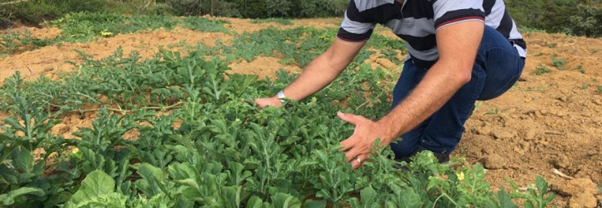 Produtor rural afirma que gestão do negócio faz diferença na produção agrícola