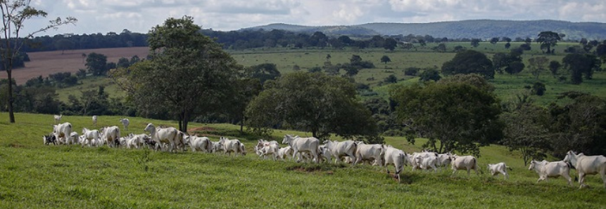 Profissionais do projeto Paisagens Rurais recebem capacitação em conservação do solo e da água