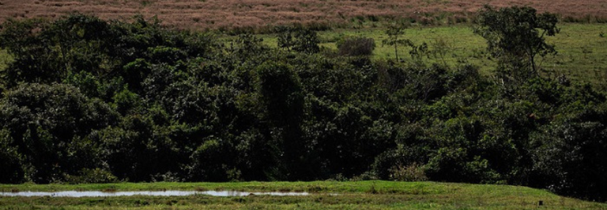 CNA discute projetos de conservação e recuperação do meio ambiente