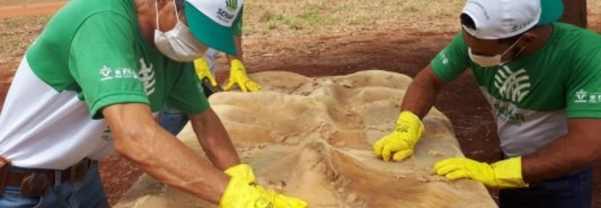 Com maior rebanho bovino do país, mato-grossenses se capacitam no curtimento do couro