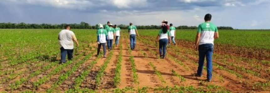 Treinamento do Senar-MT auxilia no manejo do cultivo da soja de forma benéfico e sustentável