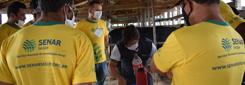 Produtores participam do curso de inseminação artificial em bovinos