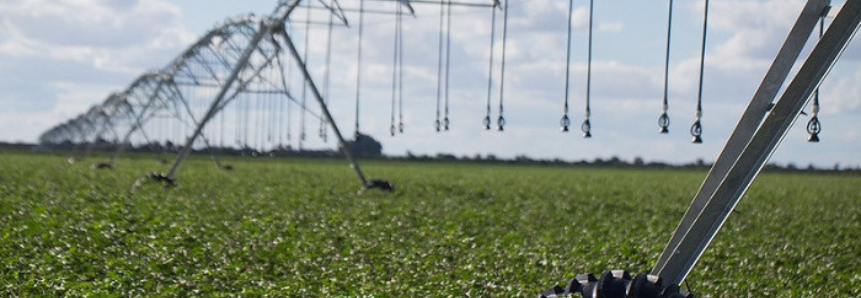 CNA discute importância da agricultura irrigada no desenvolvimento regional do Brasil