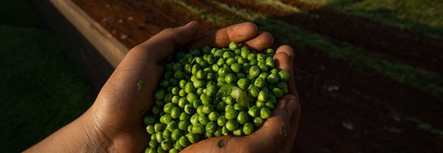 Senar avalia perspectivas para o agro em debate promovido pelo CREA-DF