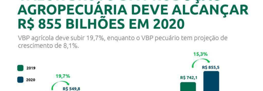 Com safra recorde e exportações, VBP deve subir 15% em 2020