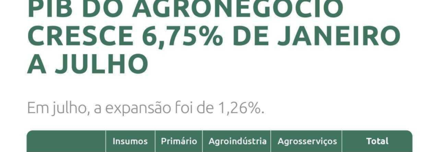 PIB do agronegócio tem expansão de 6,75% em 2020