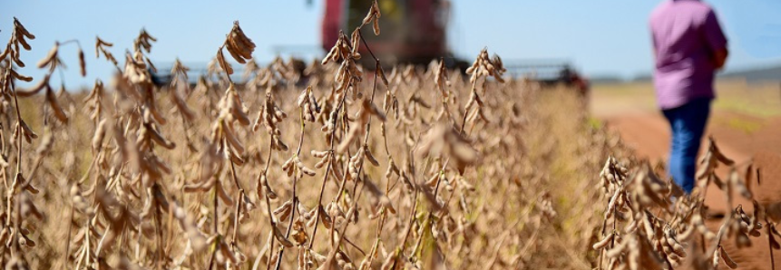 “Agro Bastão” é aprovado entre 380 projetos inscritos em incubadora universitária