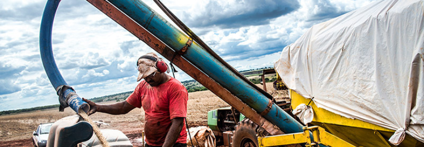 Na pandemia, a agropecuária registrou saldo positivo na geração de empregos em Mato Grosso do Sul