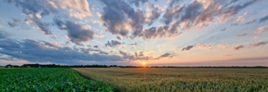 Clima deve continua seco na safra 2020/21