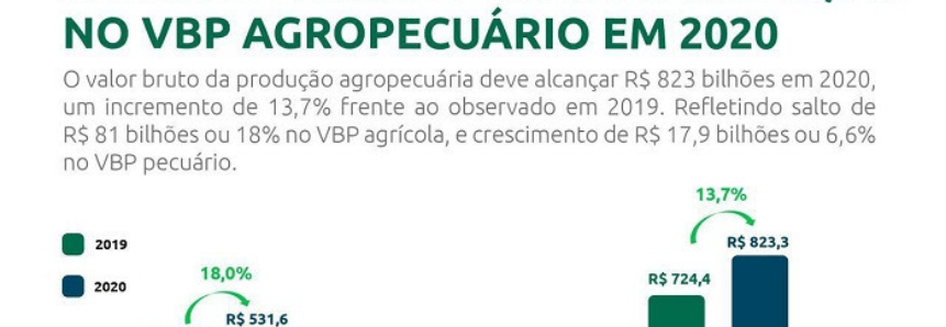 CNA prevê alta de 13,7% no Valor Bruto da Produção agropecuária em 2020