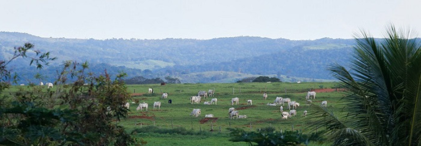 Projeto Paisagens Rurais capacita técnicos da Bahia, Mato Grosso do Sul e Minas Gerais