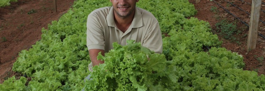 Sistema CNA/Senar e Facebook estudam parceria em projeto para inovação na agricultura