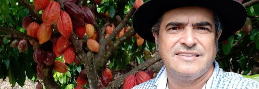 O melhor cacau do Brasil é fruto de muita informação e dedicação de produtores