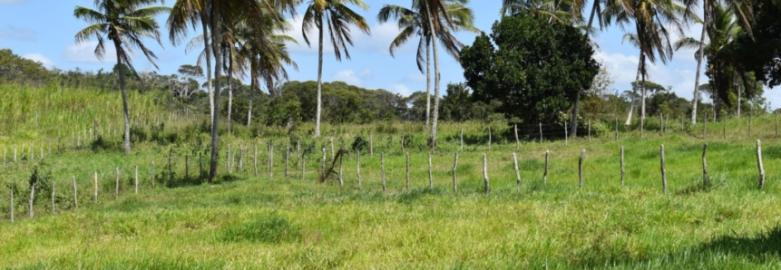 Faese realiza pesquisa sobre segurança no campo