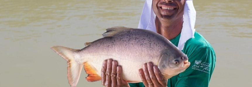 CNA aponta tendências para o mercado de pescado