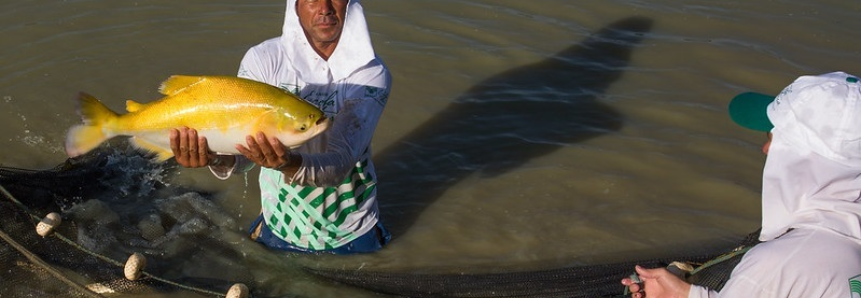 Projeto Monitor do Seguro Rural analisa opções para aquicultura