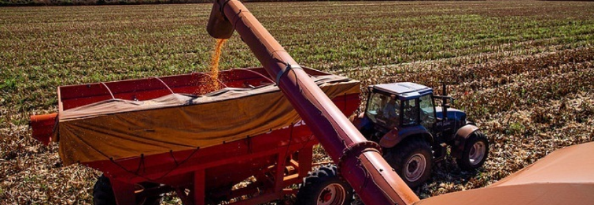 CNA levanta custos de produção em Santa Catarina, Goiás e Alagoas